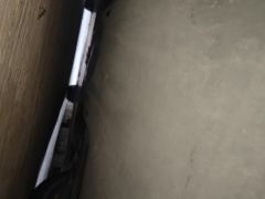 Tesla Model 3 556km Rear-Wheel Drive Edition - photo 9