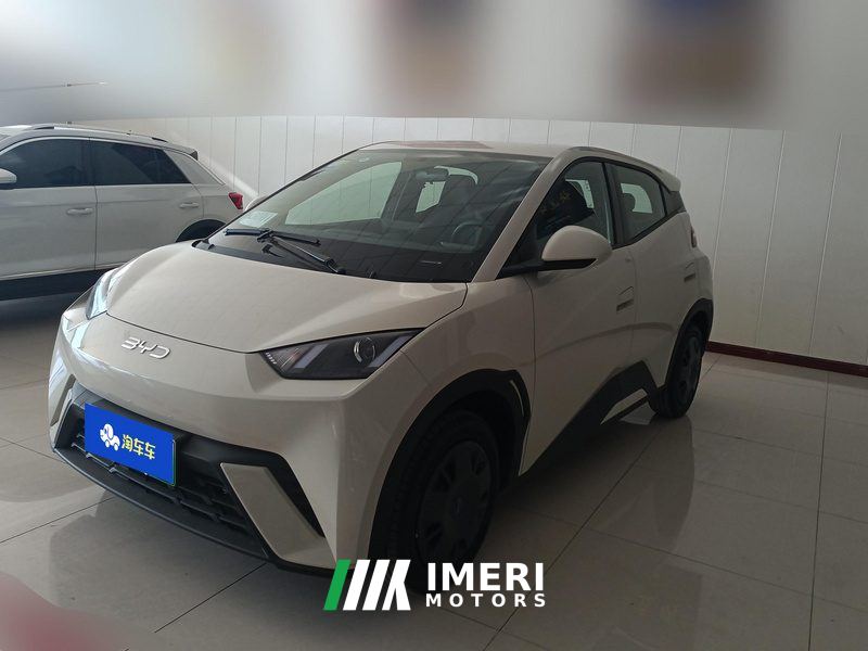 BYD Seagull 305km Vitality Edition