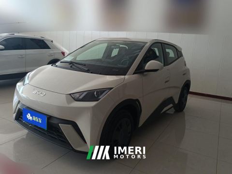 2025 BYD Seagull 305km Vitality Edition - автомобиль из Китая