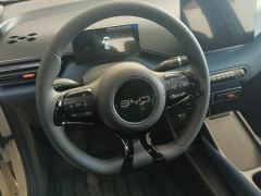 BYD Seagull 305km Vitality Edition - ფოტო 18