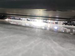 Tesla Model 3 556km Rear-Wheel Drive Edition - ფოტო 11