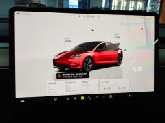 Tesla Model 3 556km Rear-Wheel Drive Edition - ფოტო 20