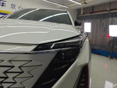 Oshan Z6 Blue Whale 2.0T Automatic Zhixing Trim - ფოტო 4