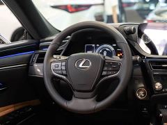 Lexus ES 300h Premium Edition - photo 14