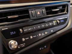 Lexus ES 300h Premium Edition - photo 17