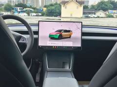 Tesla Model Y Rear-Wheel Drive - ფოტო 10