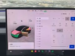 Tesla Model Y Rear-Wheel Drive - ფოტო 12