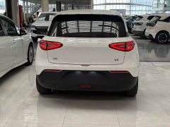 Geely Xing Yuan 310km Dream Edition - ფოტო 12