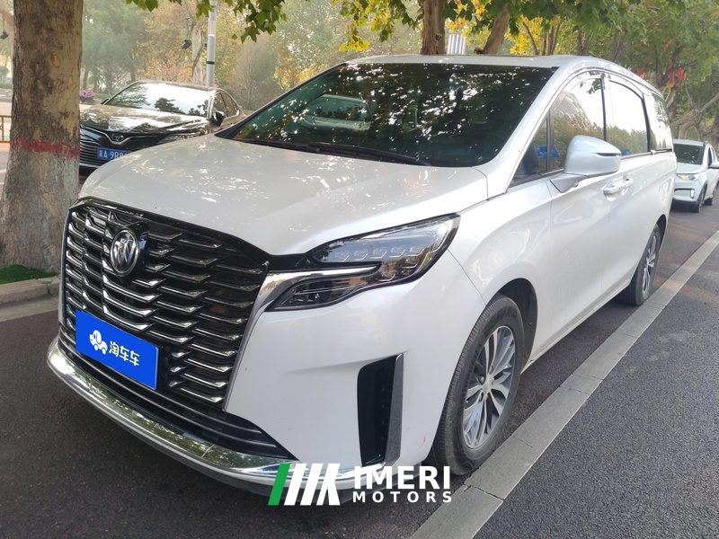 Buick GL8 ES Luxury Edition 2.0T Comfort Edition 7-seater