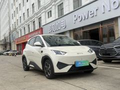 BYD Seagull Smart Driving Edition 305km Free Version - ფოტო 3