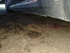FAW Red Flag E-QM5 560km PLUS - photo 11