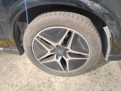Blue Electric E5 1.5L DE-i 100km Version - photo 6