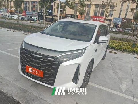 2025 BYD Summer DM-i 1.5T 180km Exceed