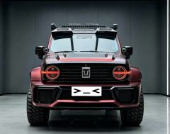 Tank 300 2.0T 200,000 commemorative editions - photo 2
