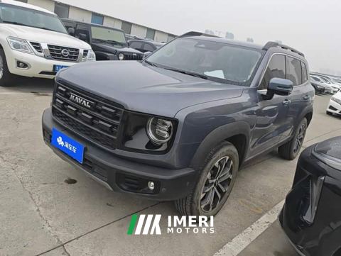 2025 Great Wall Dachshund 1.5T DCT Border Collie Edition