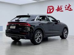 Audi Q8 45 TFSI Luxury Dynamic Edition - photo 19