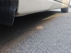 Volkswagen Golf 280TSI DCT Pro Type - photo 10