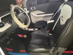 Geely Galaxy Panda mini 210km Yuanqi Bear - ფოტო 11