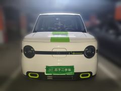 Geely Galaxy Panda mini 210km Yuanqi Bear - ფოტო 2