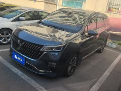 Wuling Jiachen 1.5T CVT Premium Flagship - ფოტო 1