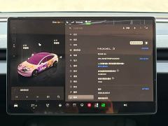Tesla Model 3 Rear-Wheel Drive - photo 9