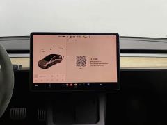 Tesla Model 3 Performance All-Wheel Drive - photo 12