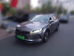 BYD Destroyer 05 Glory Edition DM-i 55KM Luxury - фото 1