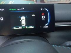 BYD Destroyer 05 Glory Edition DM-i 55KM Luxury - фото 8