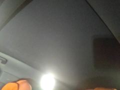 Li Auto L6 Max - ფოტო 15