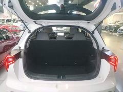 Geely Geometry E Firefly 301km Aurora - photo 18