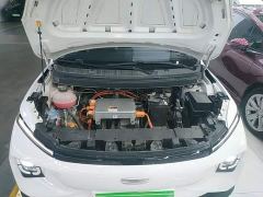 Geely Geometry E Firefly 301km Aurora - photo 19