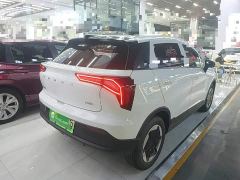Geely Geometry E Firefly 301km Aurora - photo 6