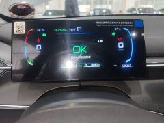 BYD Destroyer 05 Glory Edition DM-i 55KM Luxury - photo 11