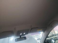 BYD Destroyer 05 Glory Edition DM-i 55KM Luxury - photo 17