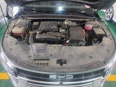 BYD Destroyer 05 Glory Edition DM-i 55KM Luxury - photo 19