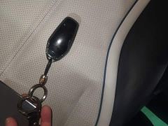 BYD Destroyer 05 Glory Edition DM-i 55KM Luxury - photo 8