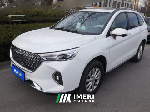 2021 Haval M6 PLUS 1.5T Manual Luxury Smart Connected Edition - car from China