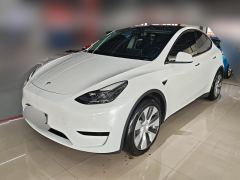 Tesla Model Y 545km Rear-Wheel Drive Edition - ფოტო 1