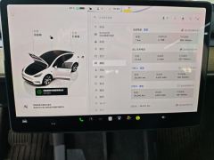 Tesla Model Y 545km Rear-Wheel Drive Edition - ფოტო 20
