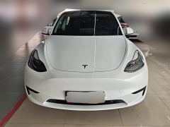 Tesla Model Y 545km Rear-Wheel Drive Edition - ფოტო 3