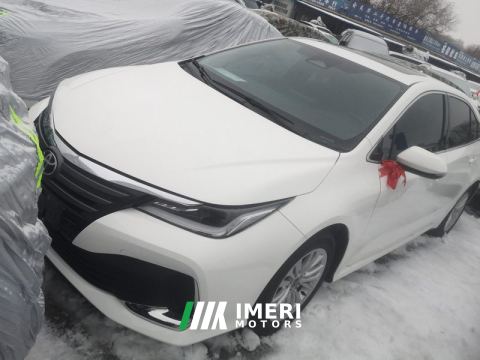 2023 Toyota Asian Lion 2.0L Edition