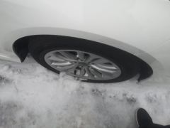 Toyota Asian Lion 2.0L Edition - photo 6