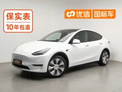 Tesla Model Y 545km Rear-Wheel Drive Edition - photo 1