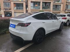 Tesla Model Y 554km Rear-Wheel Drive Edition - фото 2
