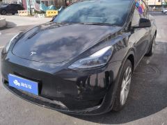 Tesla Model Y 545km Rear-Wheel Drive Edition - ფოტო 1