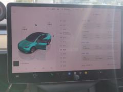 Tesla Model Y 545km Rear-Wheel Drive Edition - ფოტო 20