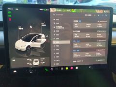 Tesla Model 3 675km Performance High-Performance AWD Version - фото 20