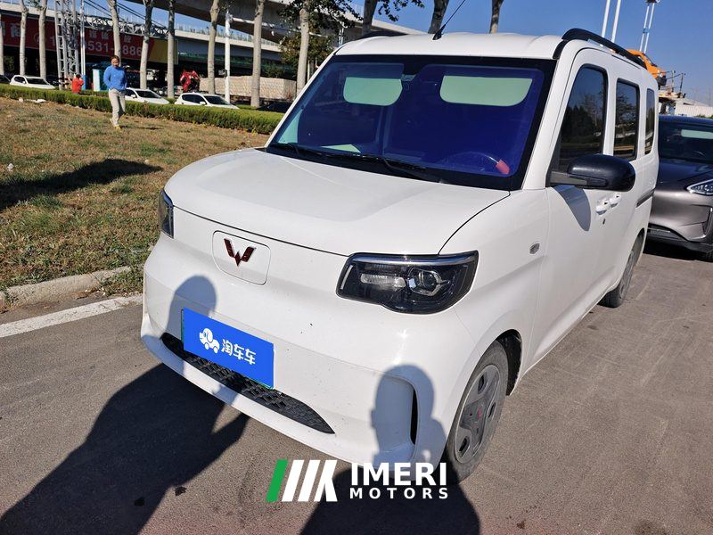 Wuling Zhiguang New Energy 201km Comfort