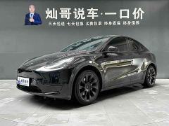 Tesla Model Y Rear-Wheel Drive - ფოტო 1