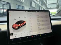 Tesla Model Y Rear-Wheel Drive - ფოტო 3
